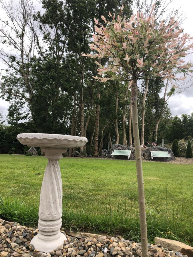 Tir Na Spideoga Villa Ennis Luaran gambar
