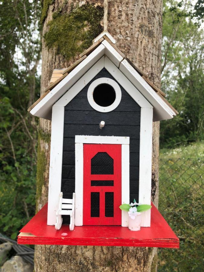 Tir Na Spideoga Villa Ennis Luaran gambar